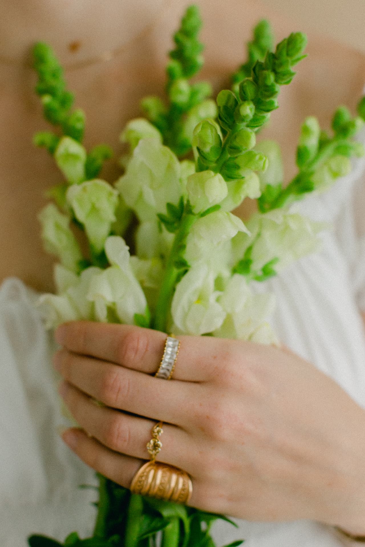 Hands holding a bouquet of white and green snapdragons